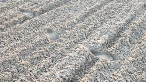 Traces of an intruder on the control strip, border violation, close-up Stock Footage 295603706