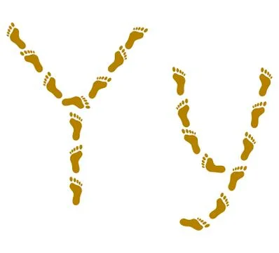 Traces, letter Y Stock Illustration