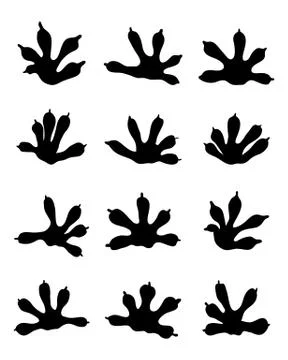 Traces of lizards Stock Illustration