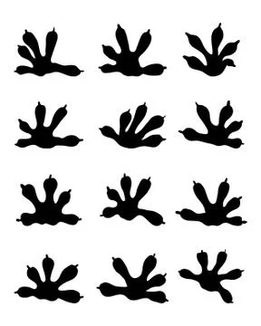 Traces of lizards Stock Illustration