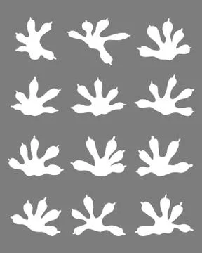 Traces of lizards Stock Illustration