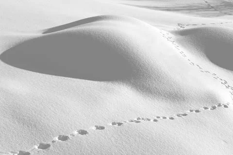 Traces in the pristine snow Stock Photos