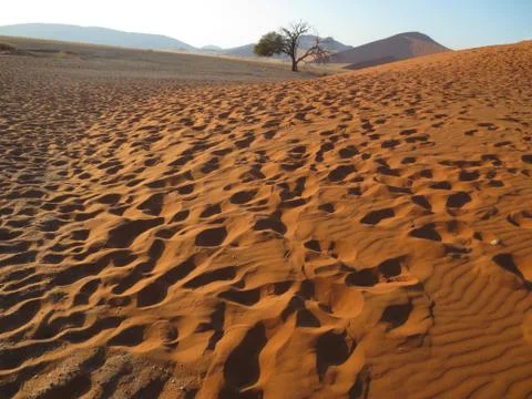 Traces in the red sand Stock Photos