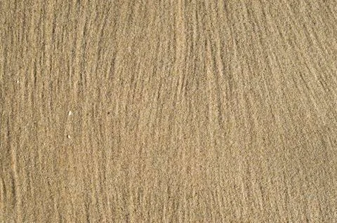 Traces in the sand after a wave 库存照片