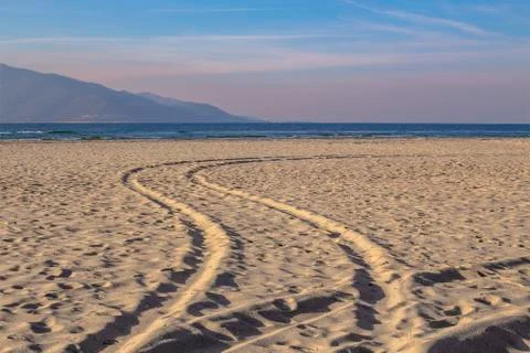 Traces in the sand. Stock Photos
