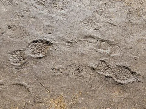 Traces of shoes Foto stock