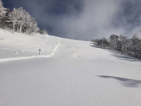 Traces of ski turns on a empty, fresh snow, ski course on a sunny day Stock Photos