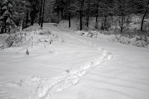 Traces in the snow Stock Photos