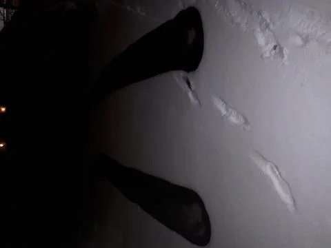 Traces in the snow Foto stock