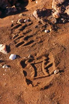 Traces of step in the australian bush Stock Photos