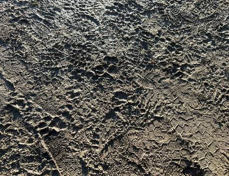 Traces in the thawed soil Stockfoto's