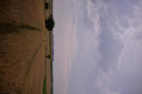 Traces in the wheat field. storm clouds in the plain in the sunset light Stock Photos