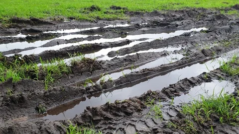 Traces of wheels on the roads. Traces of wheels in the mud. Off-road. Stock Footage 115437981