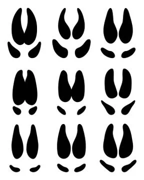 Traces of wild pigs Stock Illustration