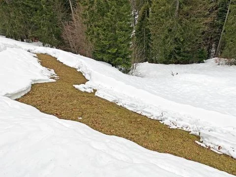 Traces of winter avalanches on the slopes of the alpine Mattstogg mountain Stock Photos
