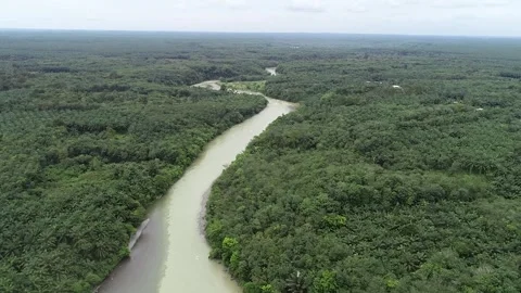 Tracing the Bahorok River from above Video stock 280561656