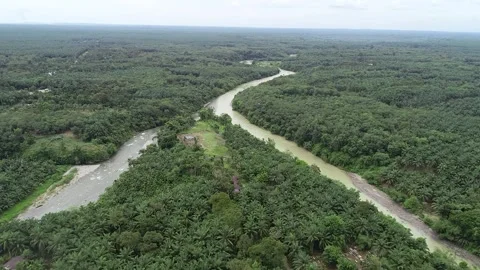 Tracing the Bahorok River from above Video stock 280562306