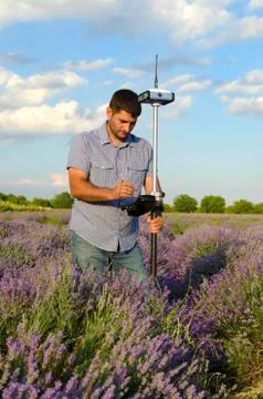 Tracing in a lavender field Stock Photos
