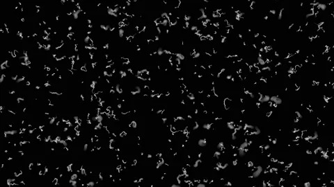 Tracing white paths on a black background.Random chaotic curves on black Stock-Footage 120611670