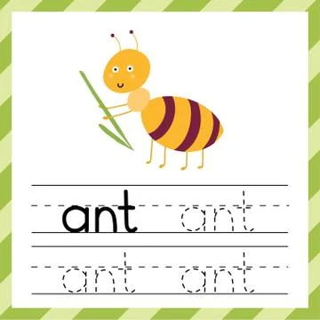 Tracing worksheet with the word -Ant. Learning material or flashcard for kids Stock Illustration
