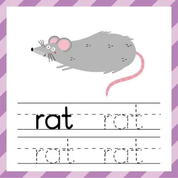 Tracing worksheet with word Rat. Learning material for kids Stock Illustration