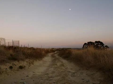 Track to the a beach 写真素材