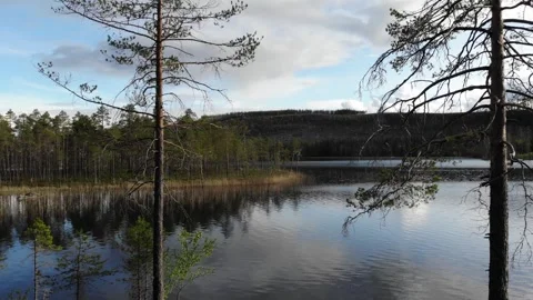 Track in between trees reaching calm lake reflecting pine forest cloudy blue sky Stock Footage 318195518