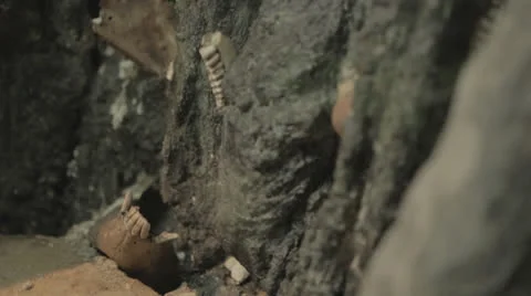 Track up boneskull wall to lounging snake Stock Footage 24389711