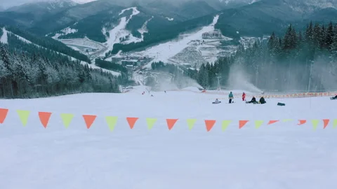 Track border. safety flags on the ski slopes in the forested area in mountains Stock Footage 147197270