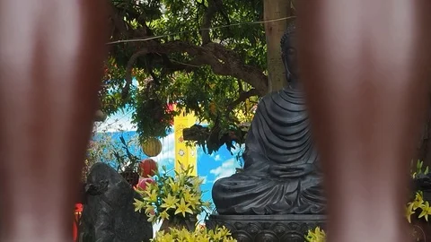 Track of Buddha 库存影片 126034305