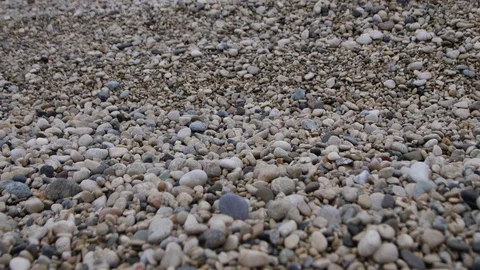 Track camera movement along pebble beach background Shake from the wind Stock Footage 98479532