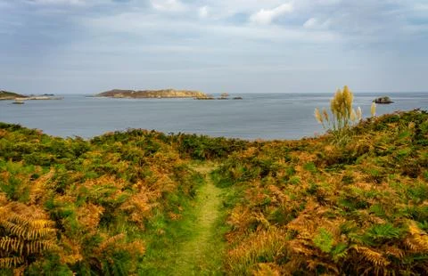 Track to cliff edge Stock Photos