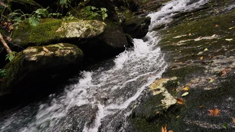 Track Down Water Flowing Down Natural Waterfall in Mountains Stock Footage 96720692