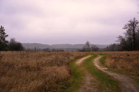 Track in the field Stock Photos