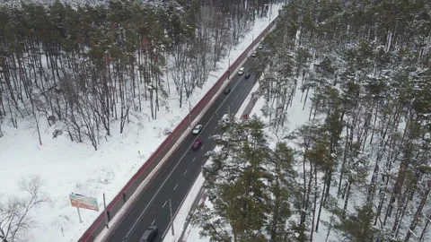 Track, forest, winter landscape 스톡 동영상 167415730