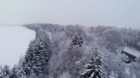 The track goes through the forest Stock Footage 100242632