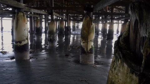 Track Left Old Weathered Posts and Water Under Pier Stock Footage 96043452