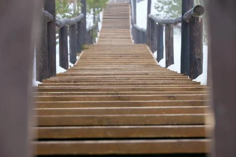 The track is made of wood in the forest Stock Photos