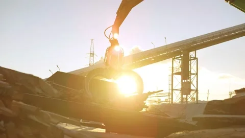 A track material handler is loading logs onto a conveyor at the factory Vidéo 174730018