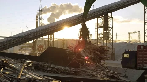 A track material handler is loading logs onto a conveyor at the factory Stock Footage 174731866