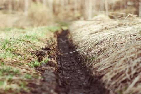 Track on a muddy road Stock Photos