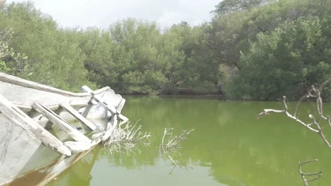 Track Out Shot of Stranded Boat at North Bali Swamp Stock Footage 147000575