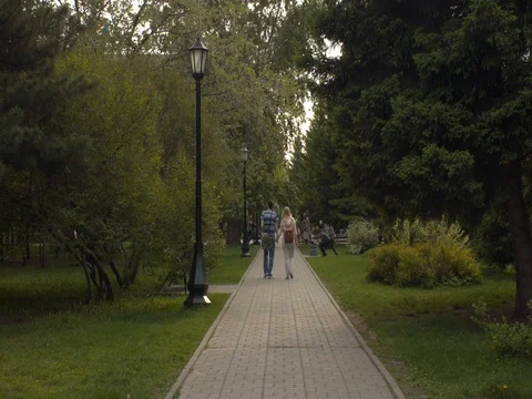 Track in the park in the city Stock Footage 81423019