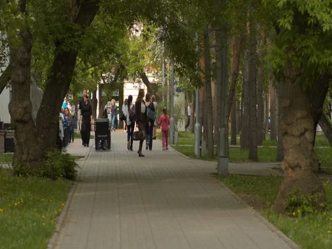 Track in the park in the city Stock Footage 81423030