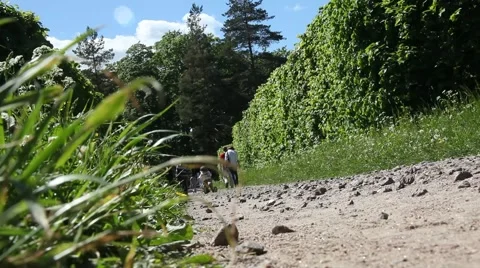 Track in the park Stockbeeldmateriaal 6181766