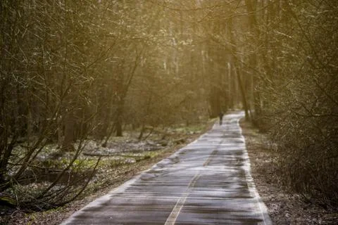Track in the Park in spring Stock Photos