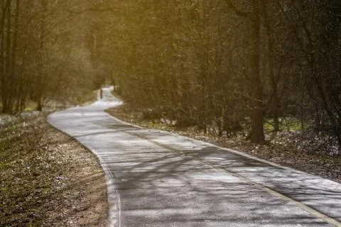 Track in the Park in spring Foto stock