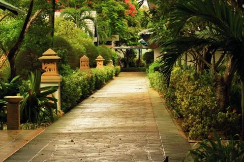 The track in the rain shadow Stock Photos