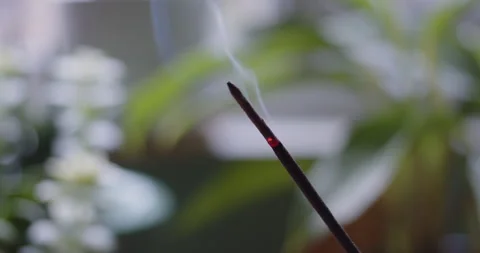 Track-Right Close-up of burning incense stick with plants plants in background Stock Footage 236588423