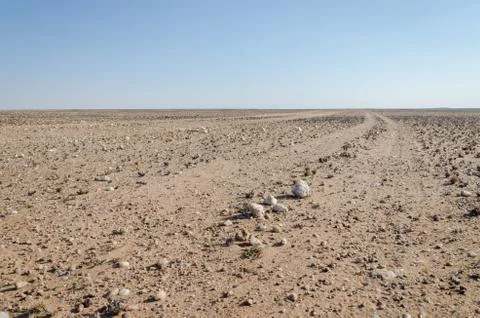 Track running through flat rocky and arid desert scenery in ancient Namib Desert Stock Photos